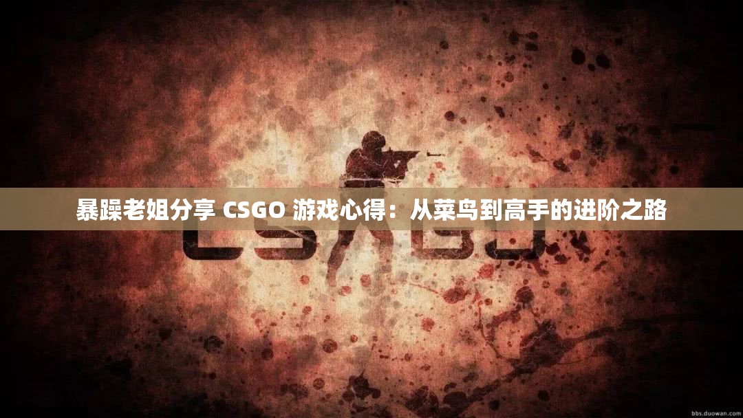 暴躁老姐分享 CSGO 游戏心得：从菜鸟到高手的进阶之路