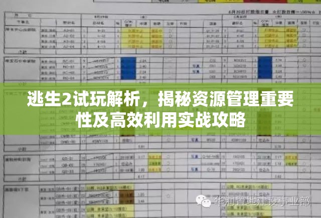 逃生2试玩解析，揭秘资源管理重要性及高效利用实战攻略
