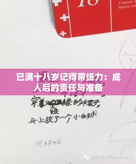 已满十八岁记得带纸力：成人后的责任与准备