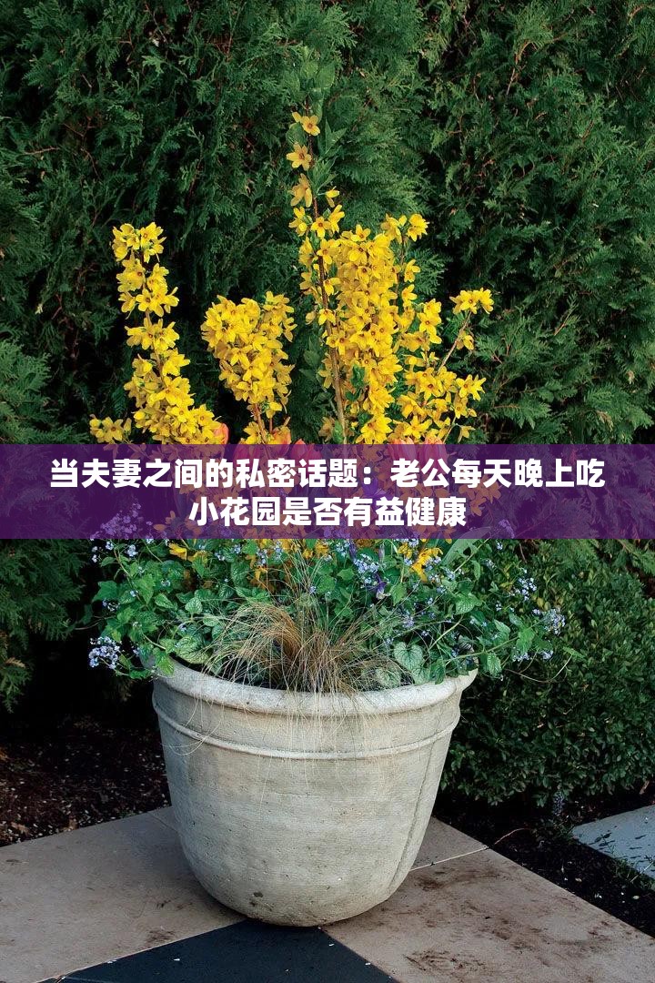 当夫妻之间的私密话题：老公每天晚上吃小花园是否有益健康