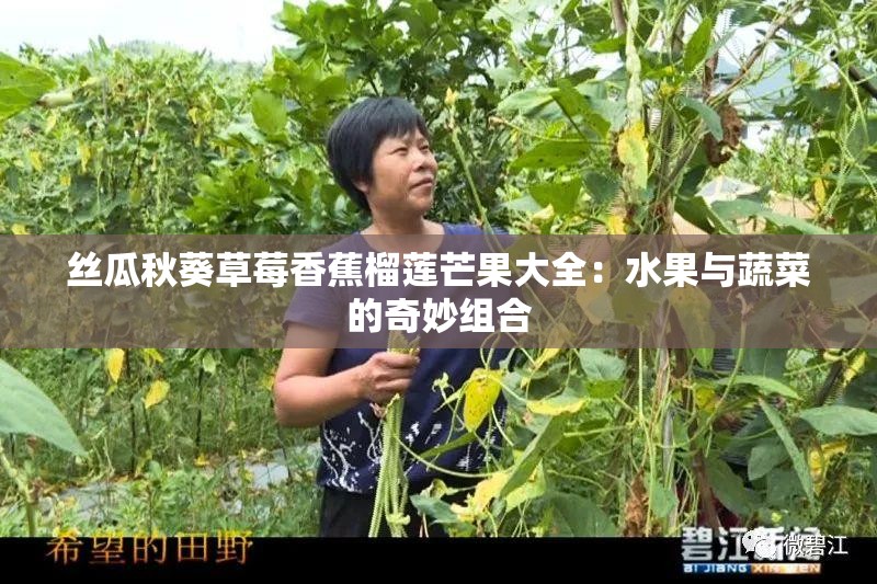 丝瓜秋葵草莓香蕉榴莲芒果大全：水果与蔬菜的奇妙组合