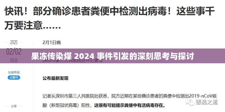 果冻传染煤 2024 事件引发的深刻思考与探讨