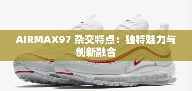 AIRMAX97 杂交特点：独特魅力与创新融合