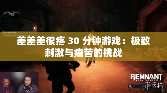 差差差很疼 30 分钟游戏：极致刺激与痛苦的挑战