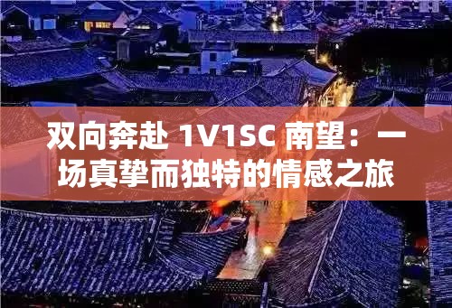 双向奔赴 1V1SC 南望：一场真挚而独特的情感之旅