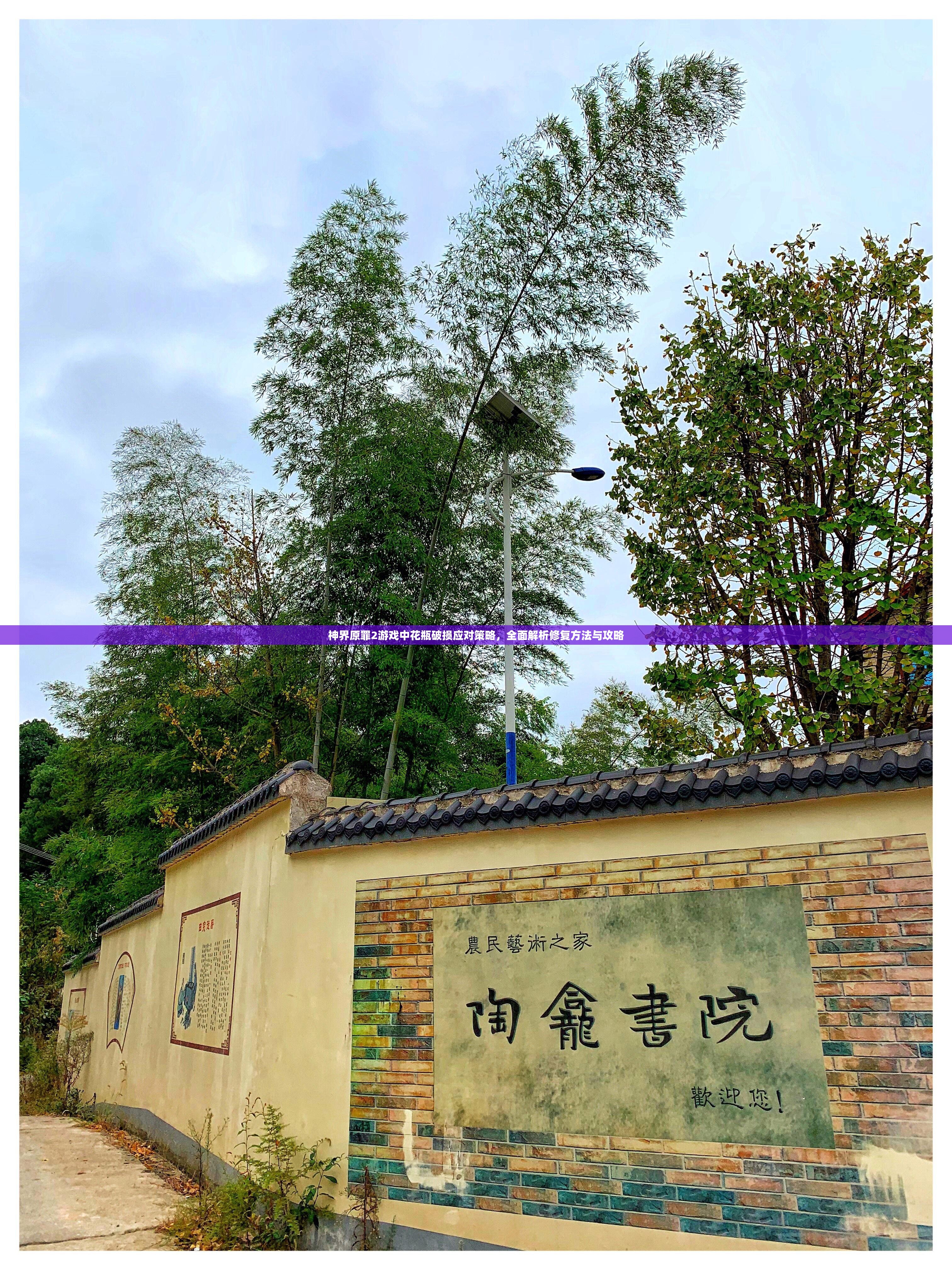神界原罪2游戏中花瓶破损应对策略，全面解析修复方法与攻略