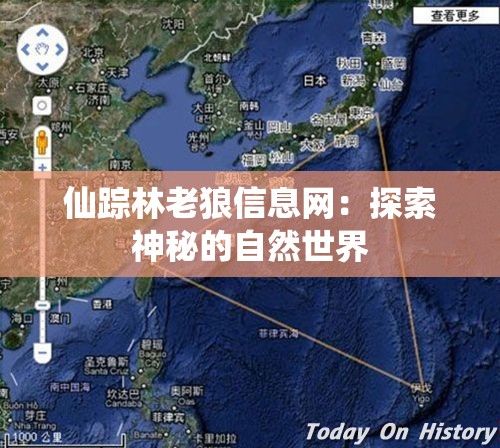 仙踪林老狼信息网：探索神秘的自然世界