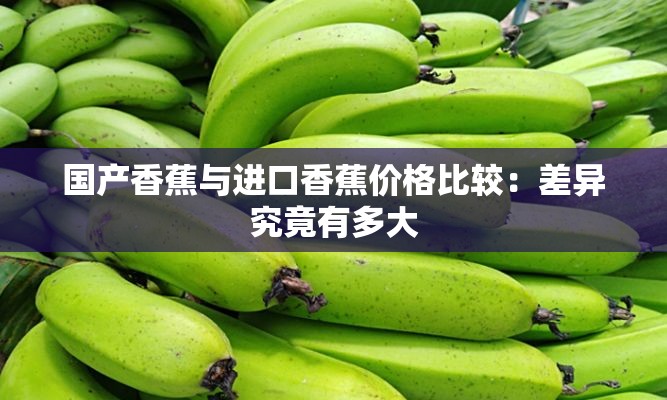 国产香蕉与进口香蕉价格比较：差异究竟有多大