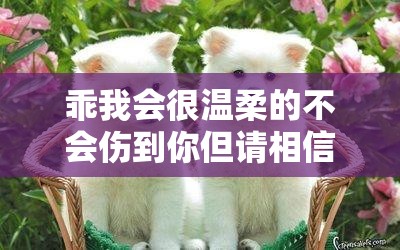 乖我会很温柔的不会伤到你但请相信我会一直爱你