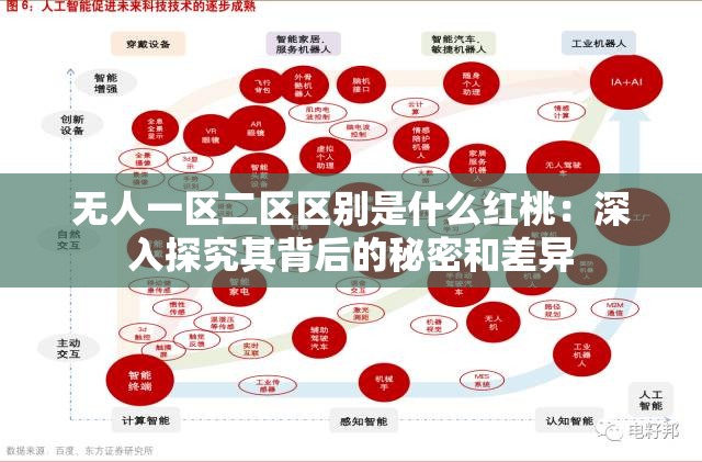 无人一区二区区别是什么红桃：深入探究其背后的秘密和差异