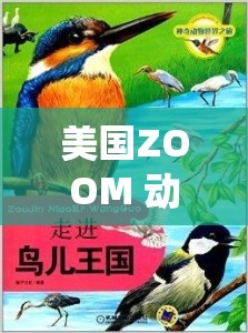 美国ZOOM 动物仙踪林：带你走进神奇的动物世界之旅
