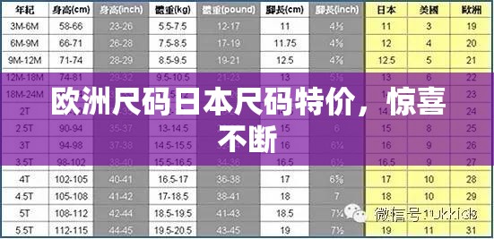欧洲尺码日本尺码特价，惊喜不断