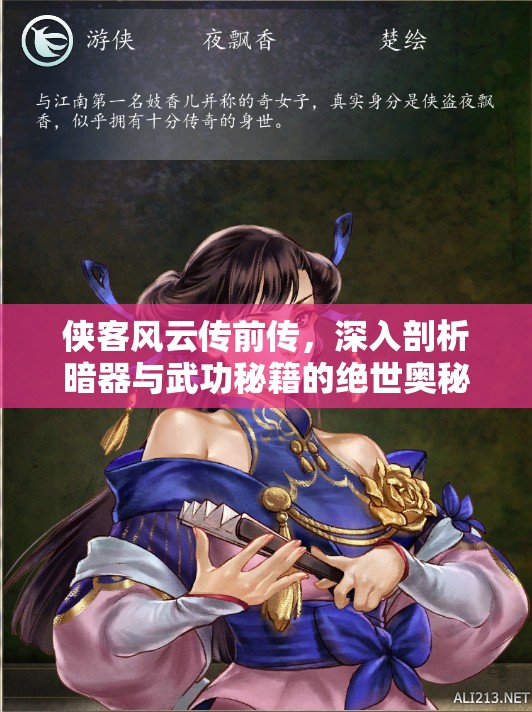 侠客风云传前传，深入剖析暗器与武功秘籍的绝世奥秘