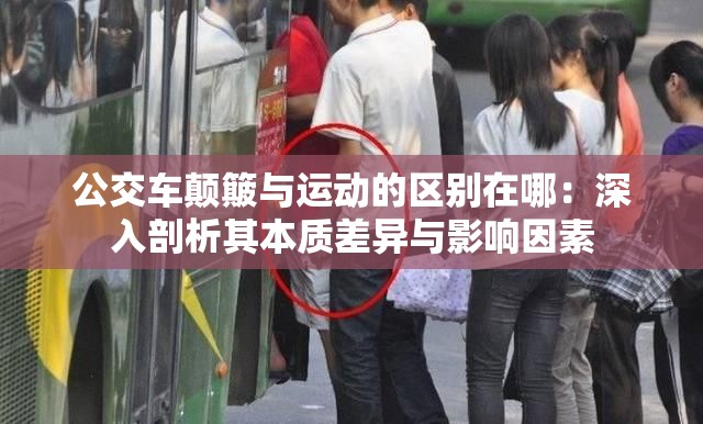 公交车颠簸与运动的区别在哪：深入剖析其本质差异与影响因素