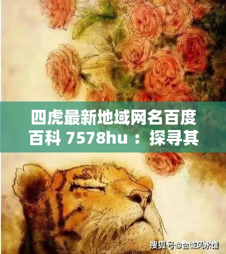 四虎最新地域网名百度百科 7578hu ：探寻其背后的神秘面纱