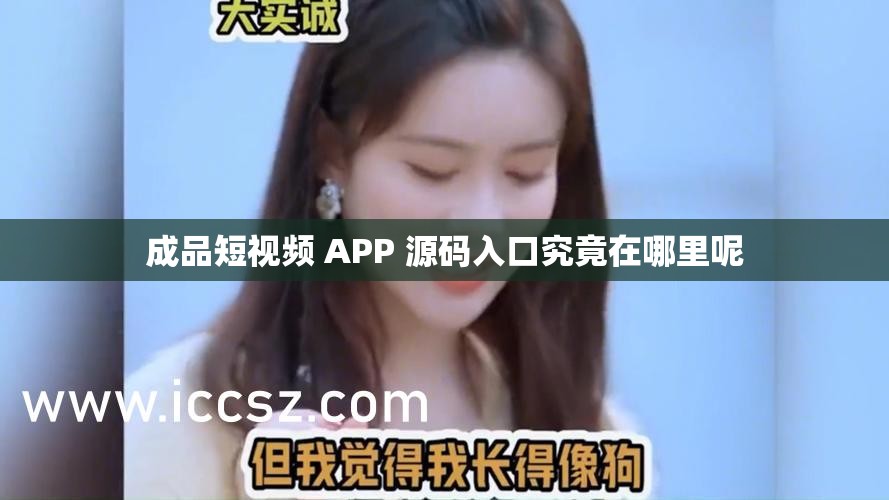 成品短视频 APP 源码入口究竟在哪里呢