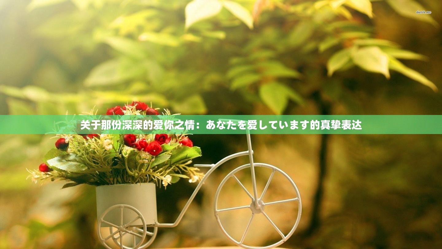 关于那份深深的爱你之情：あなたを爱しています的真挚表达