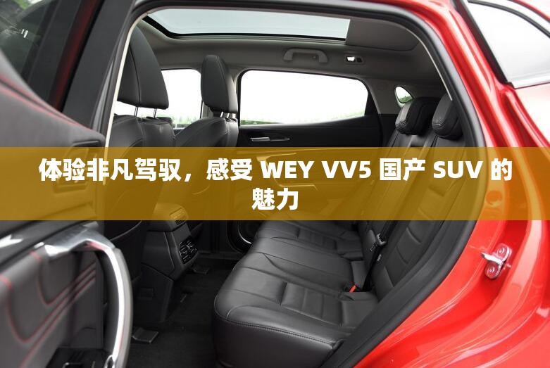 体验非凡驾驭，感受 WEY VV5 国产 SUV 的魅力