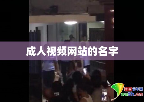 成人视频网站的名字