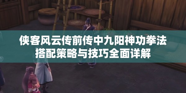 侠客风云传前传中九阳神功拳法搭配策略与技巧全面详解