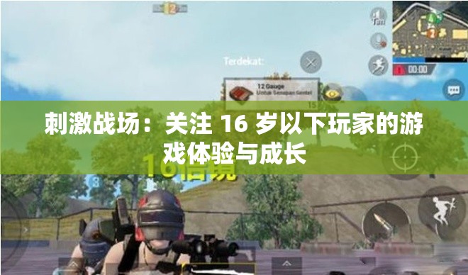 刺激战场：关注 16 岁以下玩家的游戏体验与成长