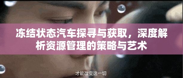 冻结状态汽车探寻与获取，深度解析资源管理的策略与艺术