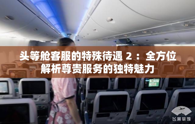头等舱客服的特殊待遇 2 ：全方位解析尊贵服务的独特魅力