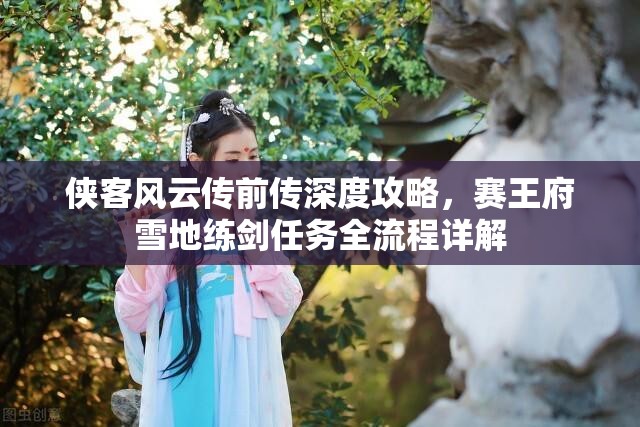 侠客风云传前传深度攻略，赛王府雪地练剑任务全流程详解