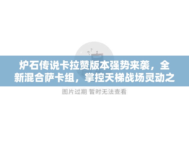炉石传说卡拉赞版本强势来袭，全新混合萨卡组，掌控天梯战场灵动之力
