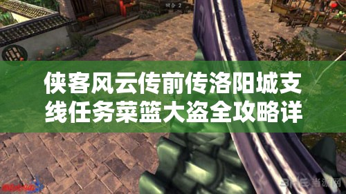 侠客风云传前传洛阳城支线任务菜篮大盗全攻略详解指南