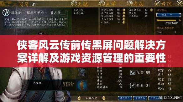 侠客风云传前传黑屏问题解决方案详解及游戏资源管理的重要性探讨