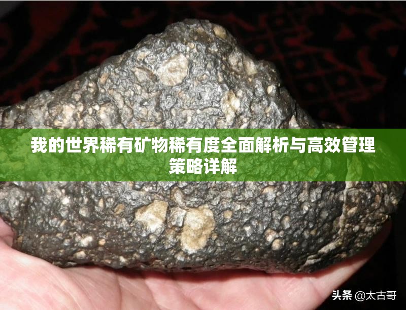 我的世界稀有矿物稀有度全面解析与高效管理策略详解