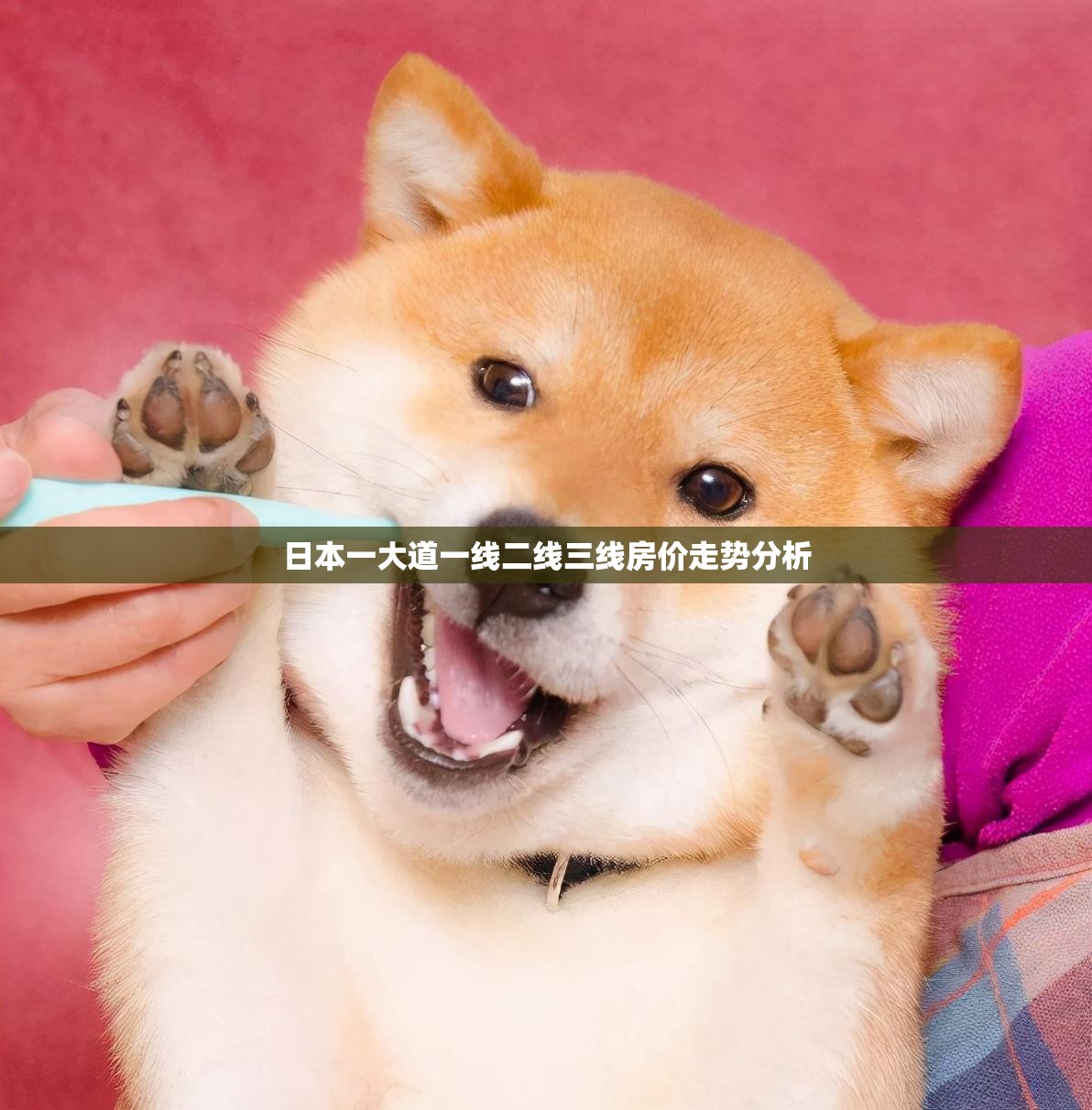 日本一大道一线二线三线房价走势分析