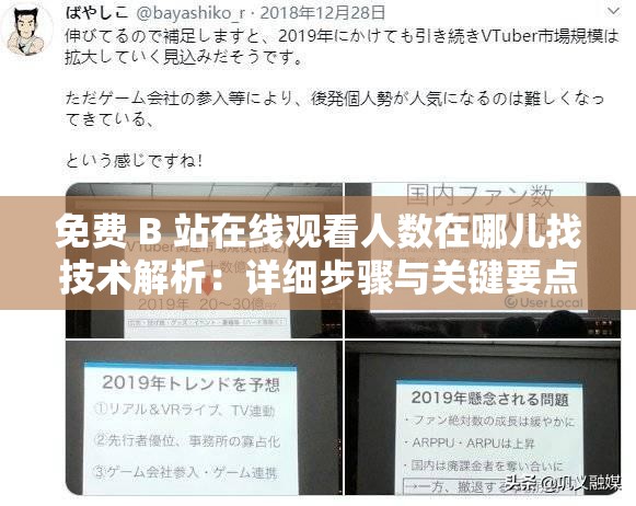 免费 B 站在线观看人数在哪儿找技术解析：详细步骤与关键要点