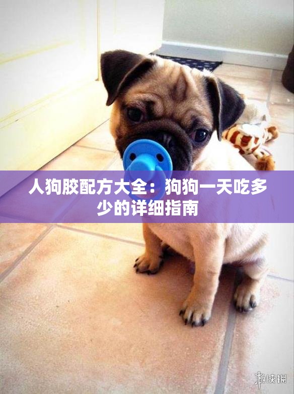 人狗胶配方大全：狗狗一天吃多少的详细指南