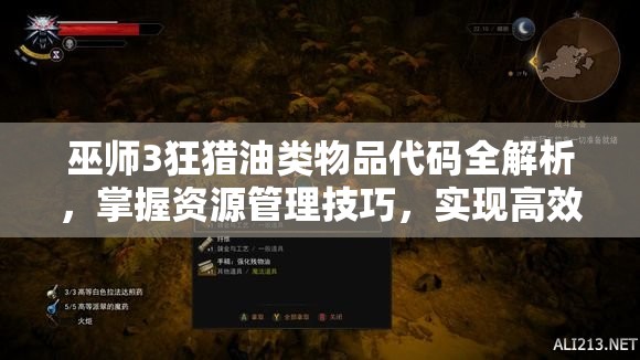 巫师3狂猎油类物品代码全解析，掌握资源管理技巧，实现高效利用并避免浪费