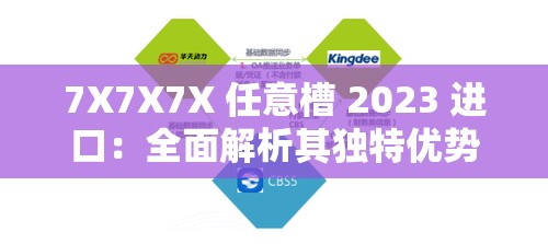 7X7X7X 任意槽 2023 进口：全面解析其独特优势与市场前景