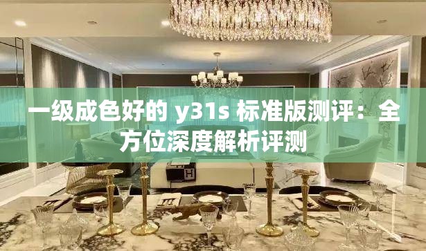 一级成色好的 y31s 标准版测评：全方位深度解析评测