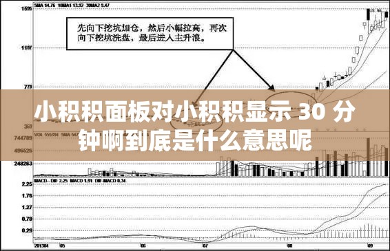 小积积面板对小积积显示 30 分钟啊到底是什么意思呢