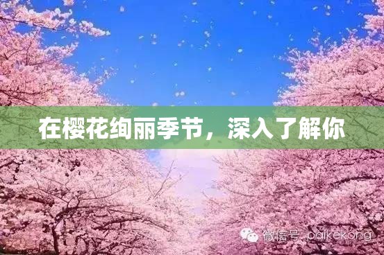 在樱花绚丽季节，深入了解你