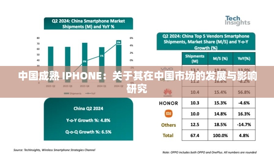 中国成熟 IPHONE：关于其在中国市场的发展与影响研究