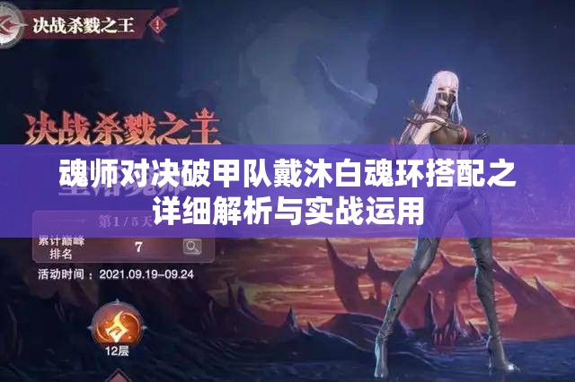 魂师对决破甲队戴沐白魂环搭配之详细解析与实战运用