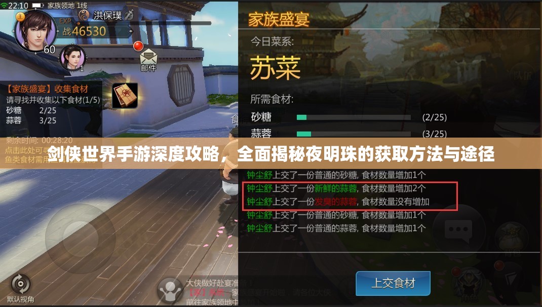 剑侠世界手游深度攻略，全面揭秘夜明珠的获取方法与途径