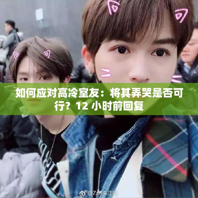 如何应对高冷室友：将其弄哭是否可行？12 小时前回复