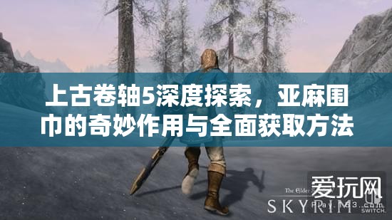 上古卷轴5深度探索，亚麻围巾的奇妙作用与全面获取方法揭秘