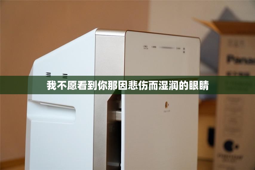 我不愿看到你那因悲伤而湿润的眼睛