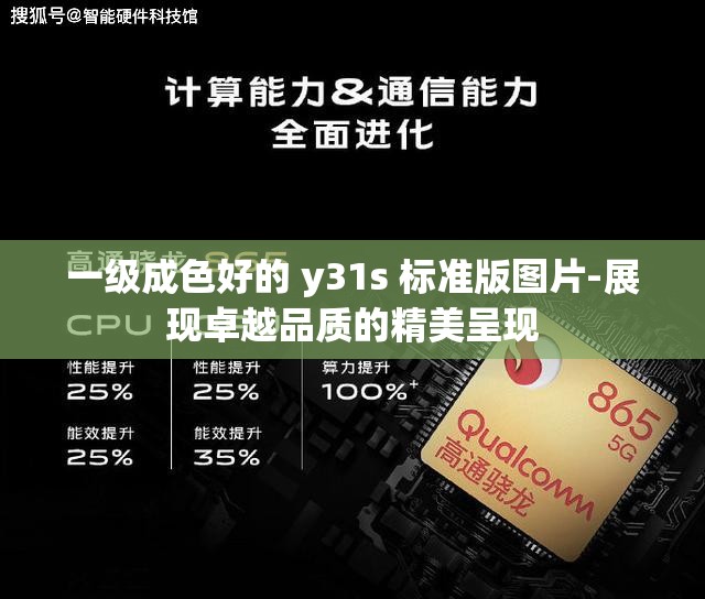 一级成色好的 y31s 标准版图片-展现卓越品质的精美呈现