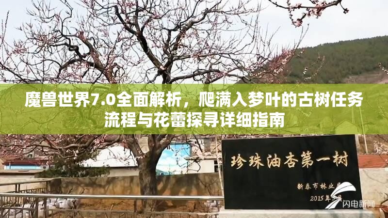 魔兽世界7.0全面解析，爬满入梦叶的古树任务流程与花蕾探寻详细指南