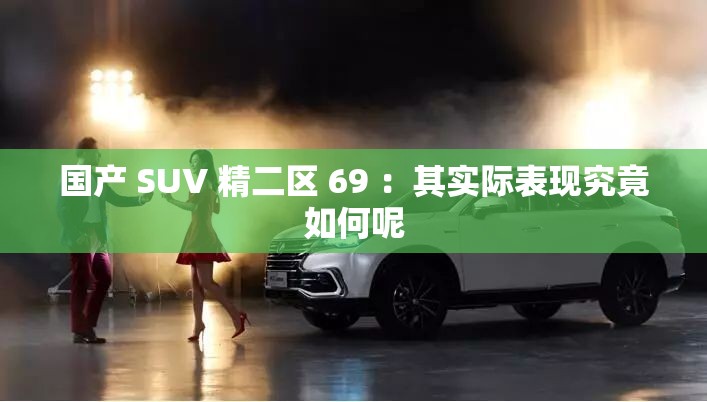 国产 SUV 精二区 69 ：其实际表现究竟如何呢