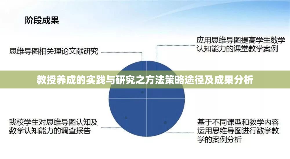 教授养成的实践与研究之方法策略途径及成果分析